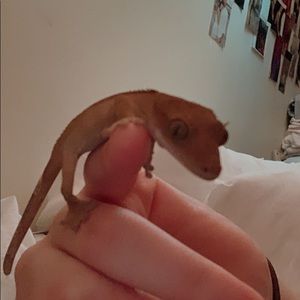 Meet your Posher, Anna